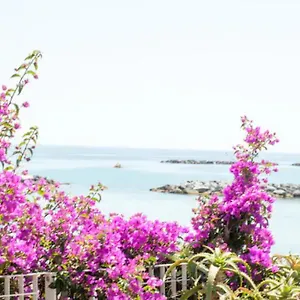 Iris Centralissimo Sanremo